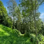 Bramberg Near Wildkogel Lift *