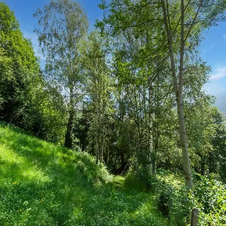 Bramberg Near Wildkogel Lift *